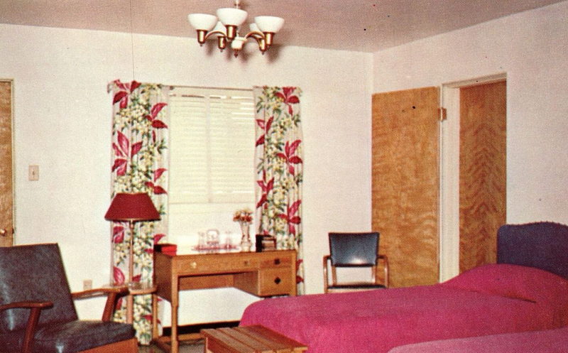 Maple Tree Inn (Maples Motel) - Vintage Postcard